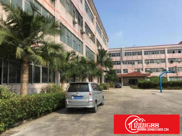 观澜原房东一整层1500平20全包带精装修免转让费空地超