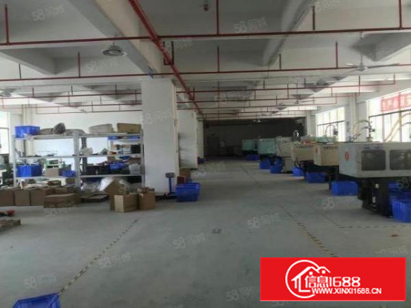 寮步原房东独院厂房上市公司有红本