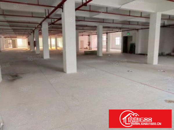 布吉新出1500平标准厂房出租大小可分租园区空地超大