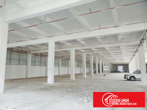 高埗独院标准楼房1栋5500平方出租宿舍1500平方电315