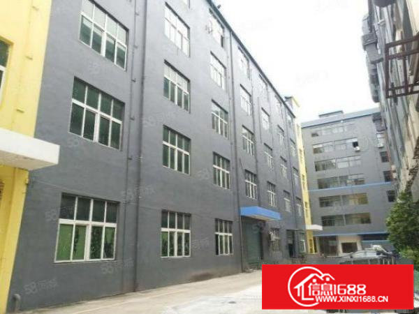 龙岗爱南路大型孵化中心精装办公大型货仓业主直招