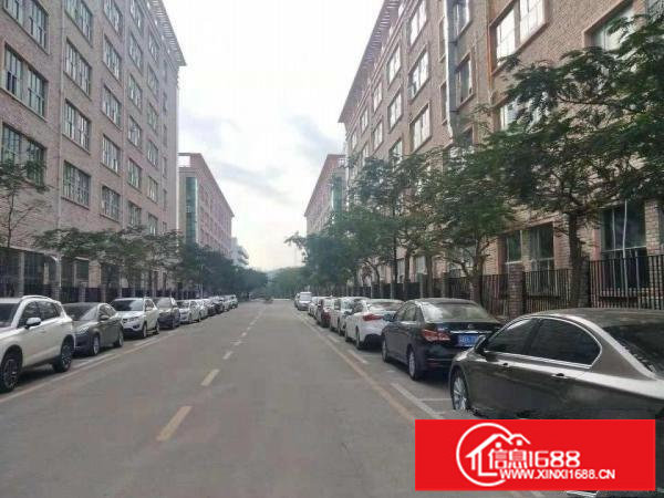 一手房东坪山工业园红本厂房一楼带牛角1900平米高度6.5