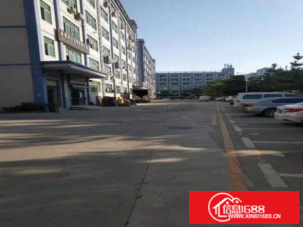 坂田上雪科技园一楼1350平空地大