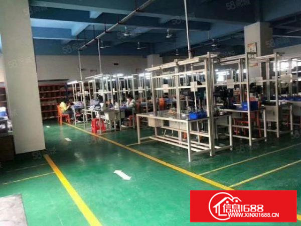 （带现成环坪）大岭山原房东新空出小独院两层2500平厂房出租