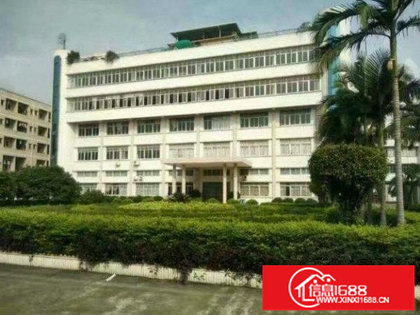 横岗茂兴路二楼1400平方现成地坪漆精装修