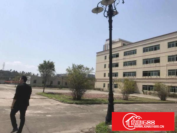 惠阳大亚湾15000平方厂房出租（可分租）