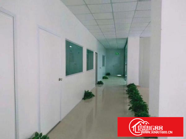 清溪三中新出原房东二楼1200平方带装修急租