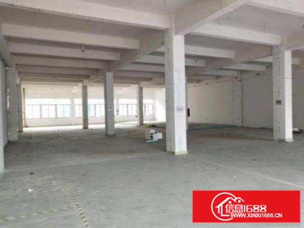 石排燕窝村标准厂房一楼800平方出租