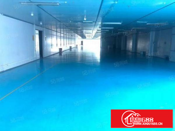 凤岗临深红本厂房12000平方出租