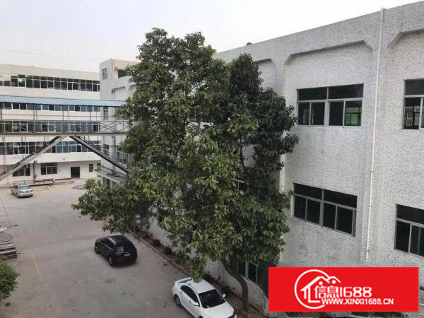 独院独栋厂房出租3350平方