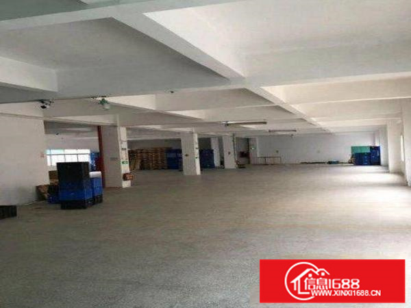 惠阳新墟原房东厂房1楼1000平2楼3000平出租