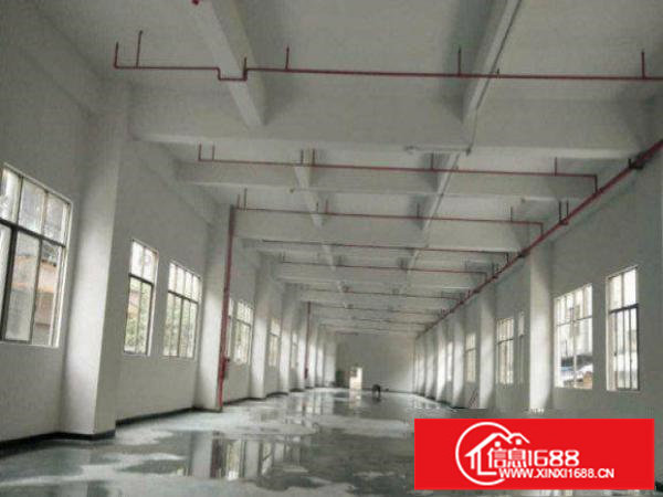 龙岗区平湖新出标准厂房一楼720平方现成办公交通便利出租