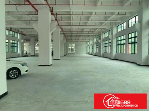 寮步新工业园区厂房全新原房东出租大小面积可分