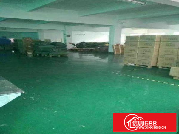 仲恺陈江独门独院4500平方标准厂房