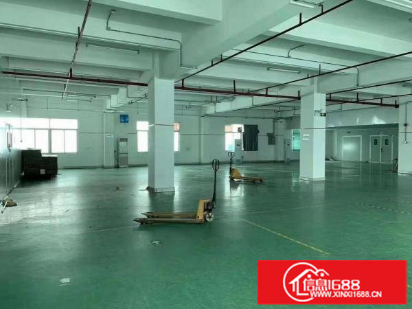 坪地北通道高速路口大型工业园标准厂房出租105800平有红本