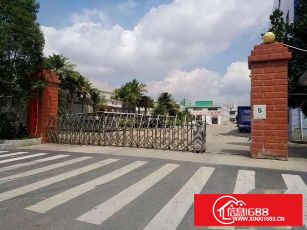 惠阳秋长新出一楼钢构8米高电200可做家私