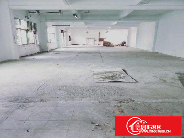 坂田五和光雅园创业园一楼办公室特价36