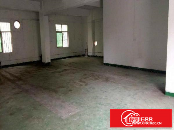 出租坪山新区坑梓厂房