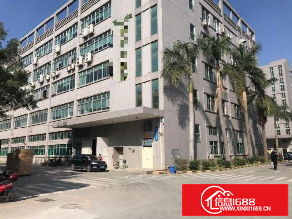 布吉百鸽笼地铁站500米新出3万平方红本厂房200平起租求租