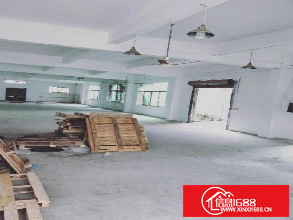 坂田五和光雅园创业园一楼办公室特价36