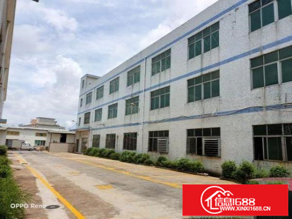 坪山石井坪葵路边独栋厂房4800平方招租