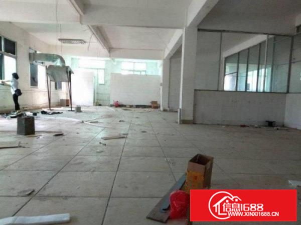 罗村周边独门独院标准厂房出租，配套齐全好分租办环评