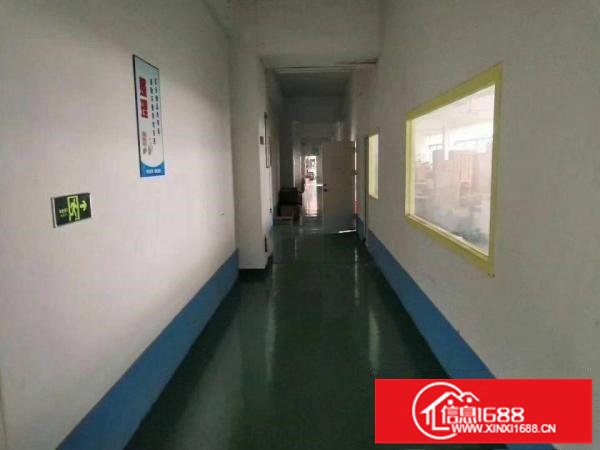 龙岗中心城附近新出楼上300平带豪华装修红本厂房