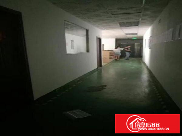 坂田五和地铁口1600平豪华装修厂房办公仓库车间