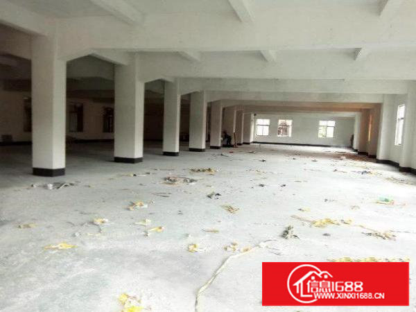 厦边全新四层共4760平厂房招租行业不限交通便利