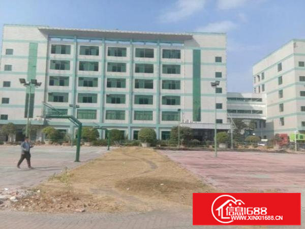 寮步镇大型工业园招租，1000平起分租！