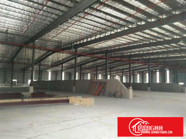 仲恺潼桥22500平钢构厂房出租（丙二类消防喷淋）