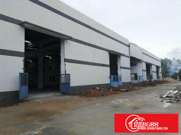 笋盘！里水1000平米单一层厂房招租！到顶12米高