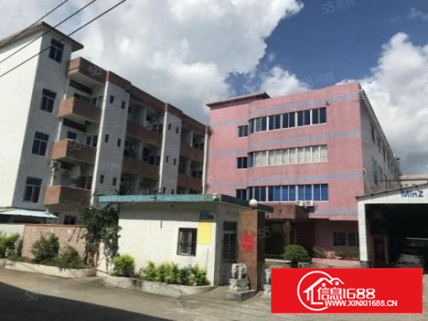 石湾经典原房东独门独院标准厂房出租