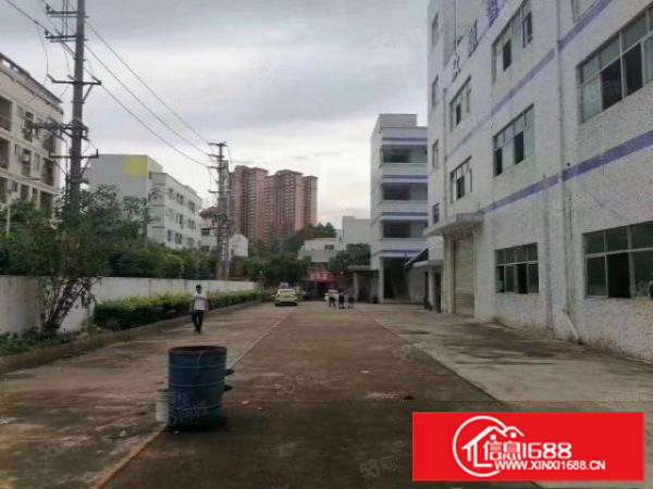 6000平方三层独院