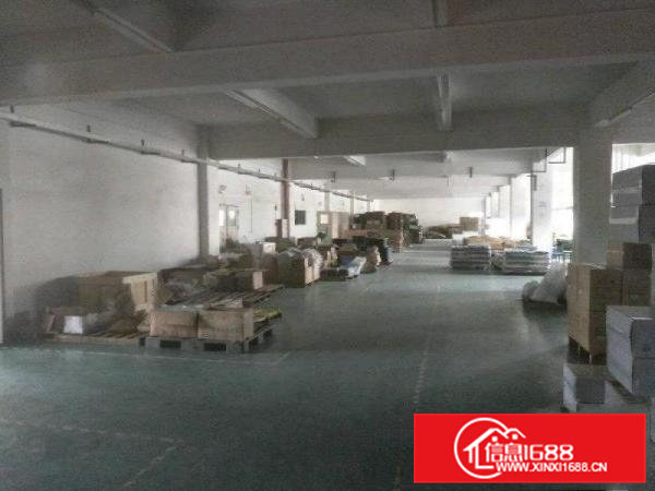 常平横江厦新出标准厂房600平方米出租