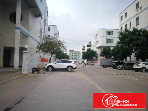 成熟园区豪华装修无转费厂房