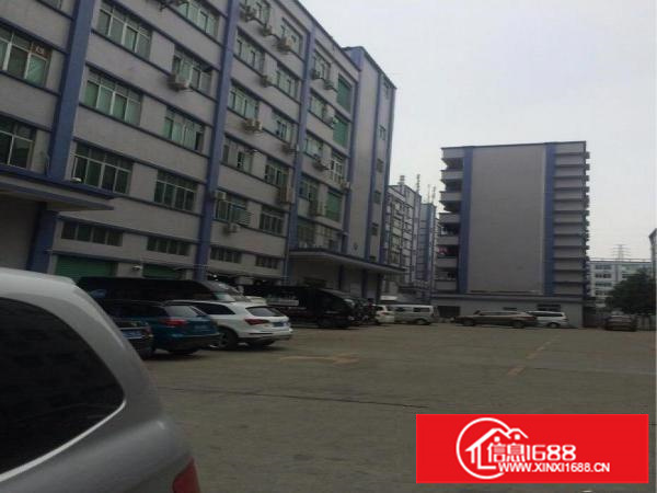 坂田300平方到800平方