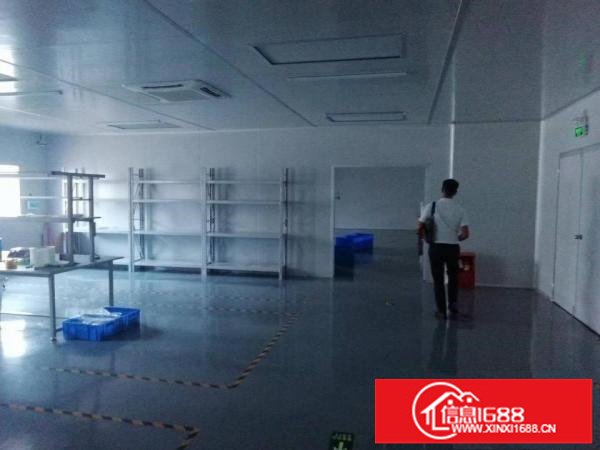 龙华大浪商业中心惊现豪华无尘车间1300平出租