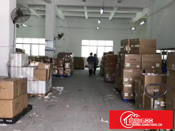 坂田新出一楼整层物流仓库