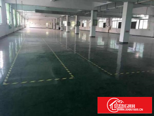 高埗新出红本独院标准厂房3层12500平方出租可办环评空地