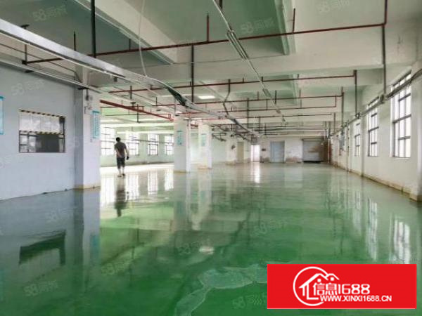 凤岗雁田出租2楼1500平豪华装修办公室水电齐全现房