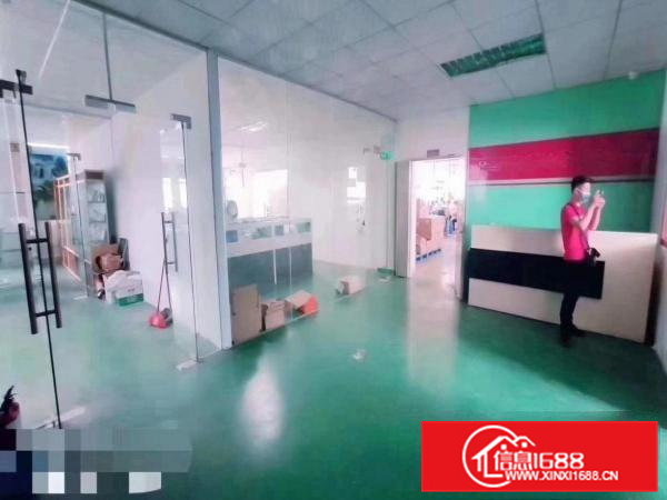 凤岗金凤凰楼上整层1350平招租带消防喷淋水电装修