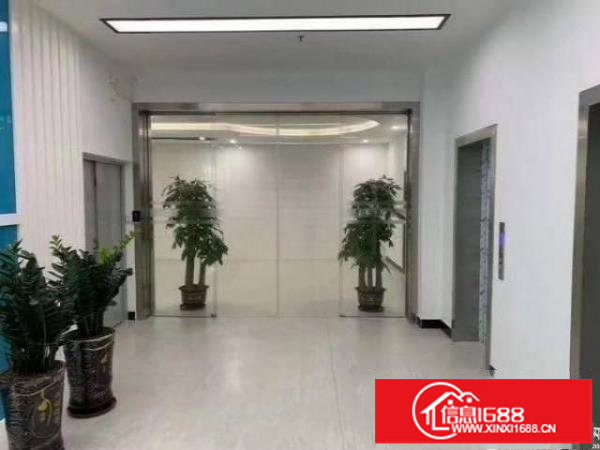 平路边新出1460平厂房招租，原房东带红本