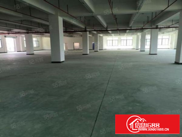 茶山原房东标经典独院厂房13层4700，带消防喷淋，