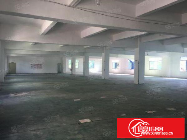 安良原房东4200平方独院厂房出租