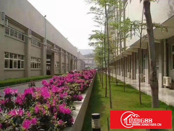 寮步镇经典独院厂房6500平方空地免费用交通方便