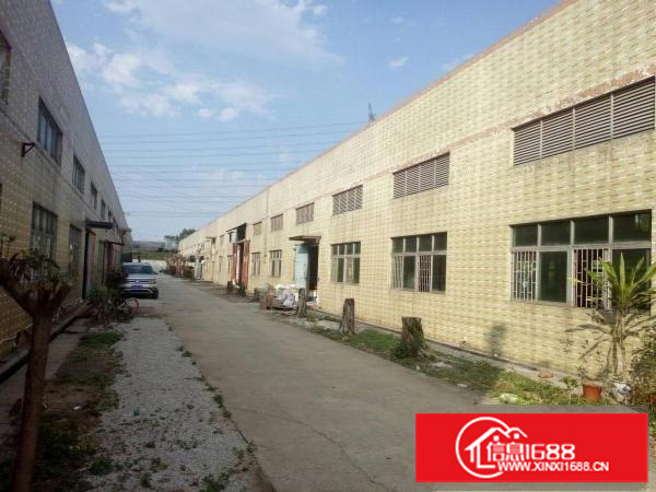 牛湖500、800、1000铁皮厂房出租