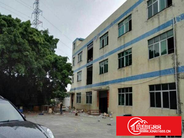 10元/平方标准楼房13F独院约3000平方出租