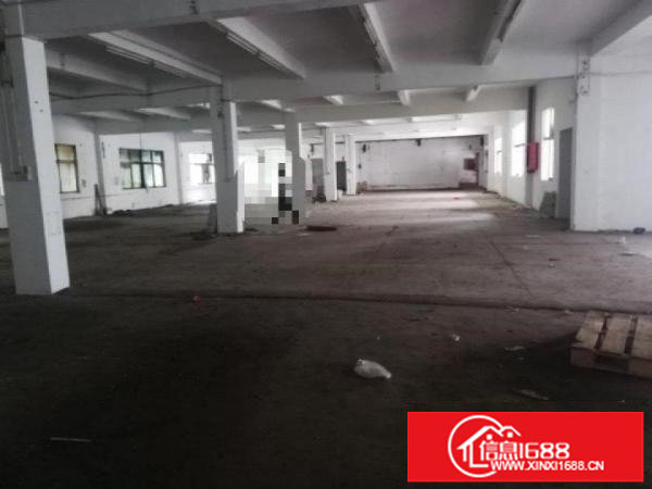 白泥坑海吉星附近独院整栋5880平可大小分租