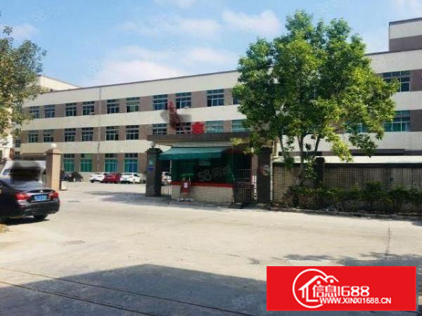 茶山镇新空出楼上2200平原房东精装修厂房出租分租